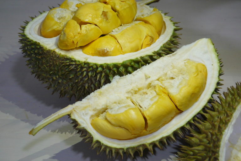 durian cushion