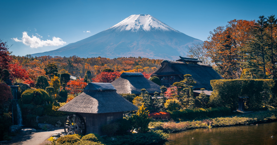 Autumn in Japan: 2024 Fall Foliage Forecast